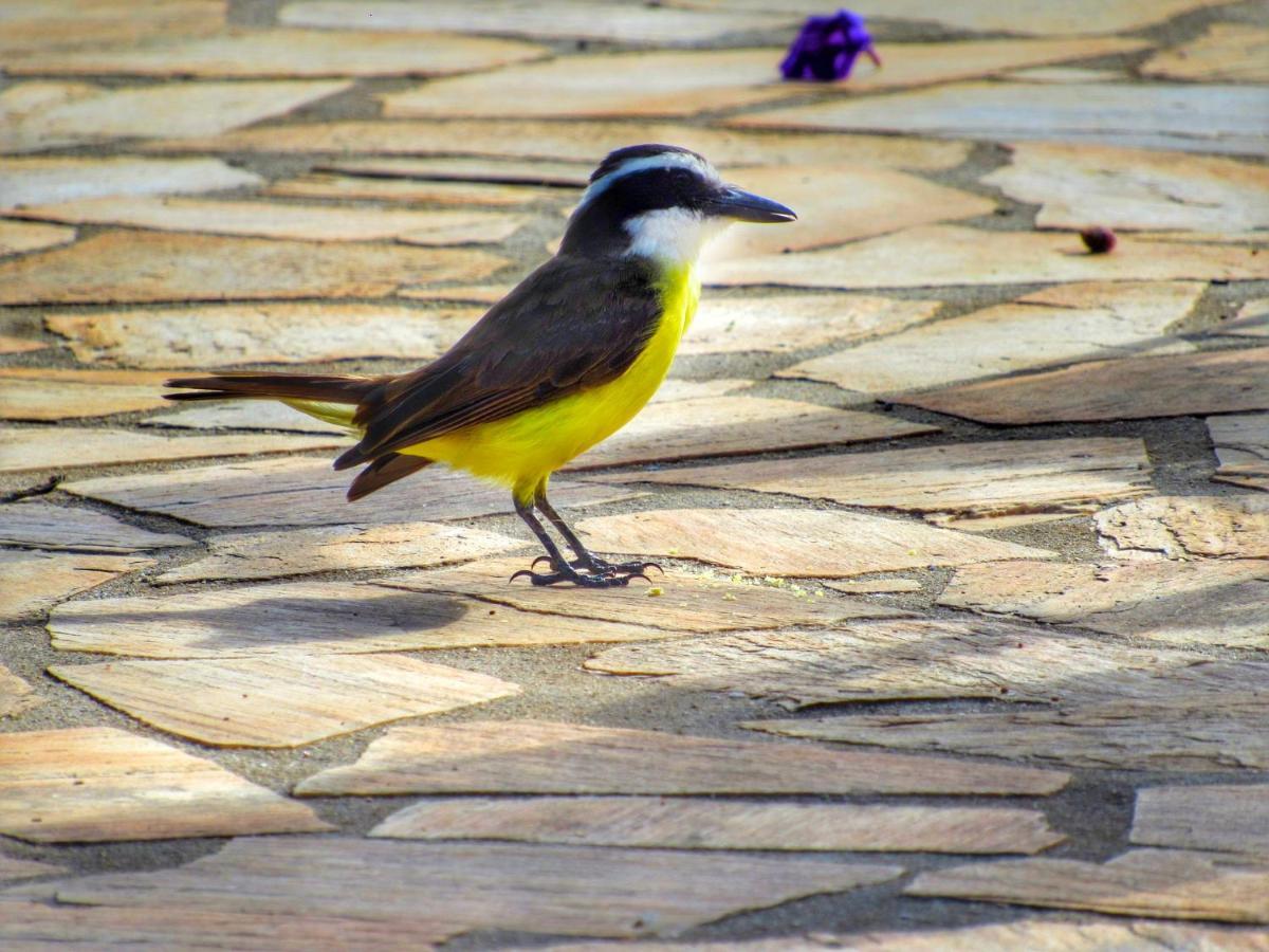 Pousada Mandalla Serra do Cipo National Park Buitenkant foto